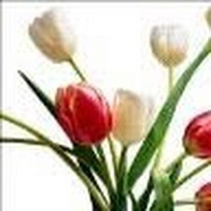 Meet your Posher, Liya